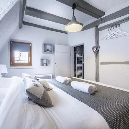 Sur Les Toits De Colmar** Hypercentre Colmar